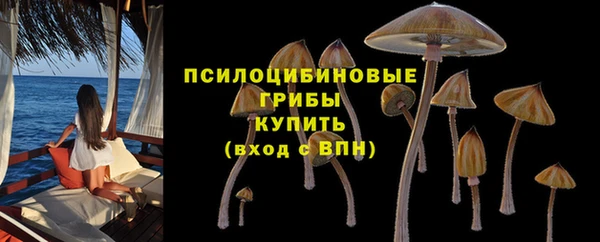шишки Белая Калитва