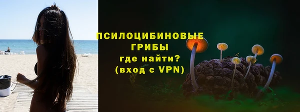 МДПВ Новозыбков