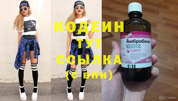 МДПВ Новозыбков