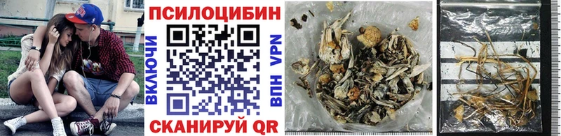 Псилоцибиновые грибы Psilocybine cubensis  Туран 
